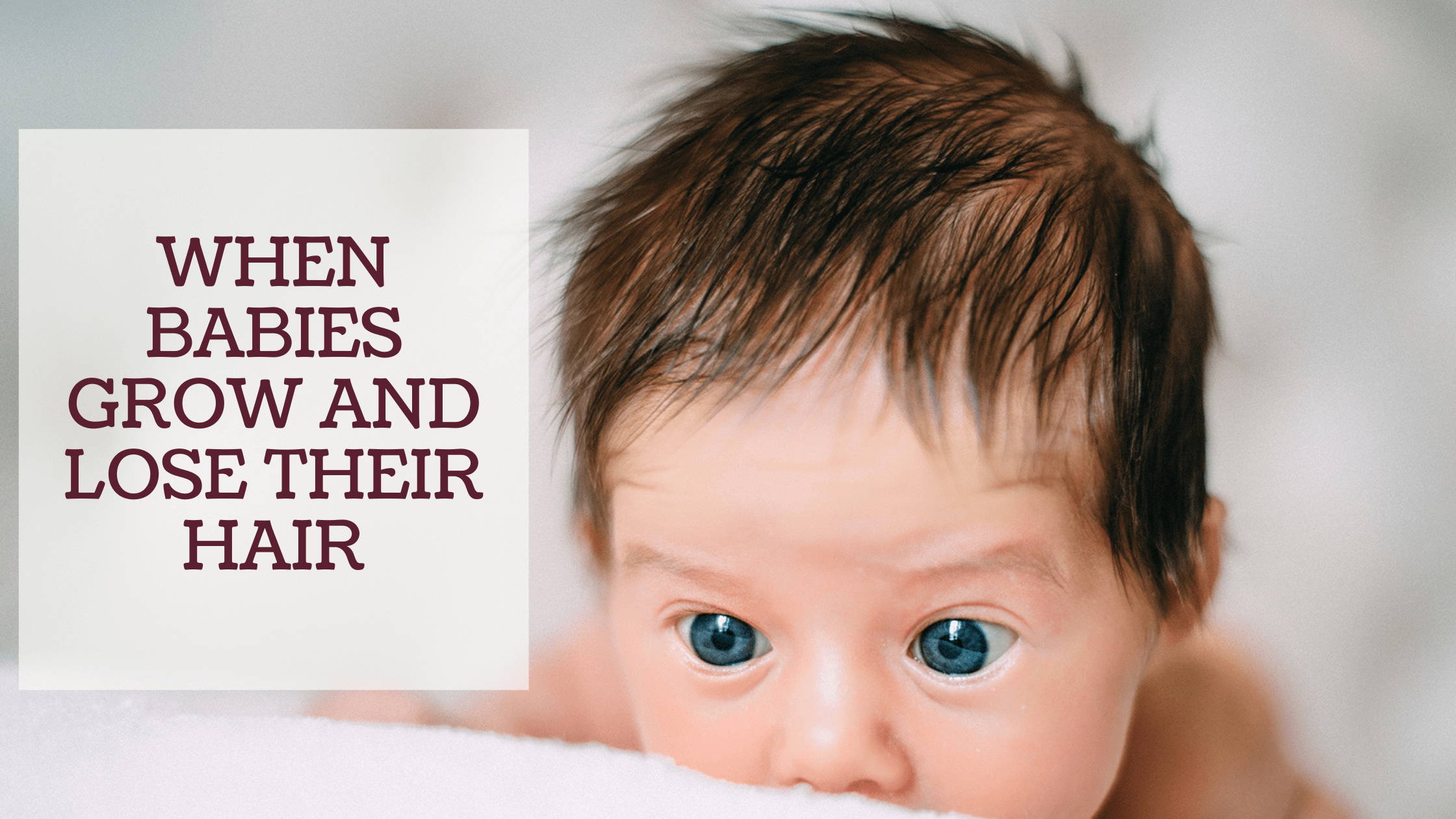WHEN BABIES GROW AND LOSE THEIR HAIR Halamama baby-embryo-stages